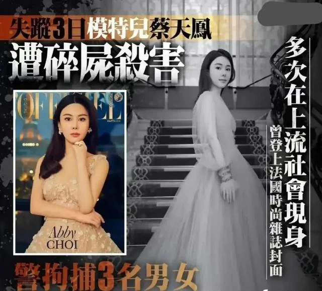 警方披露蔡天鳳烹屍案最新細節:前夫上車打昏蔡天鳳後,親自烹屍