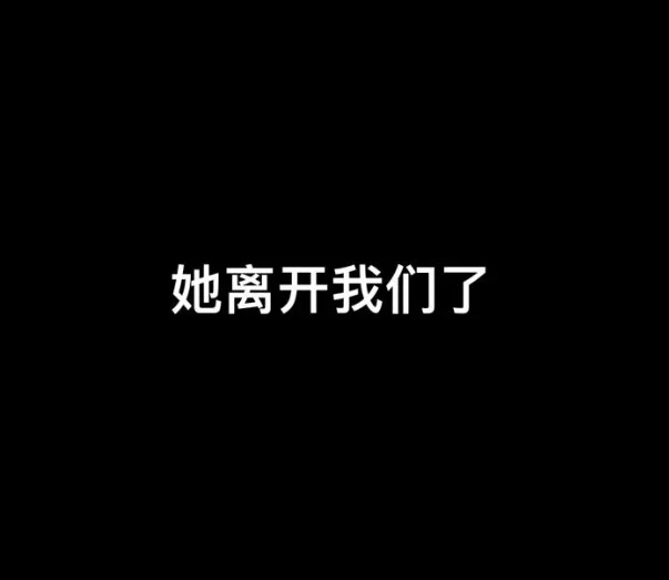 洪卉恩離開人世 人與轎車在住家附近被發現