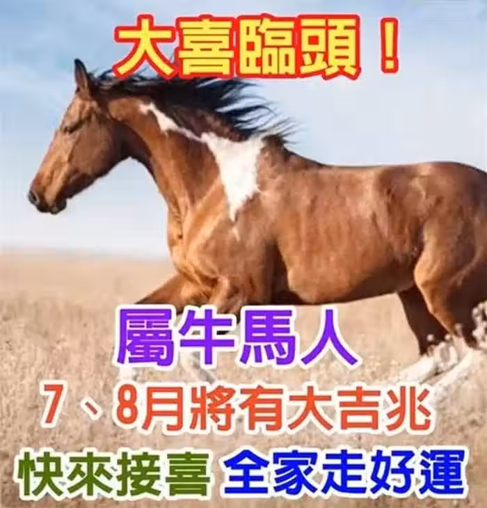 /www/bananadaily.net/web/images/image/2250/22502449.avif