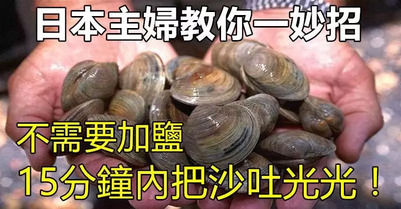 日本主婦教你一妙招，如何快速讓蛤蜊吐凈泥沙肉又鮮, 10分鐘內把沙吐光光！!!!