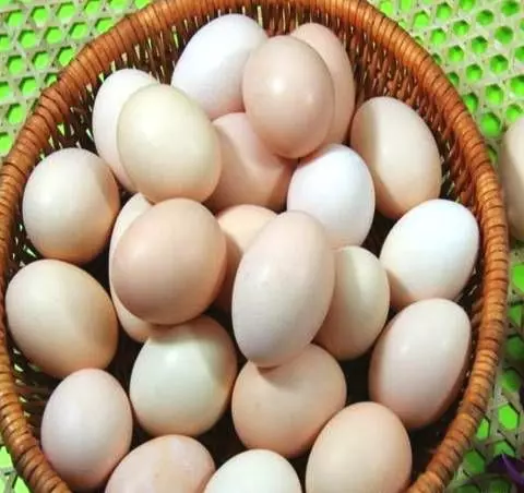 雞蛋買回家別直接放冰箱裡！教你一個小竅門，雞蛋放再久也不會壞哦！