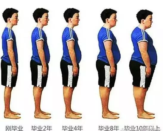 英國研究顯示：胖，是一種工傷，越努力工作越容易「發胖」