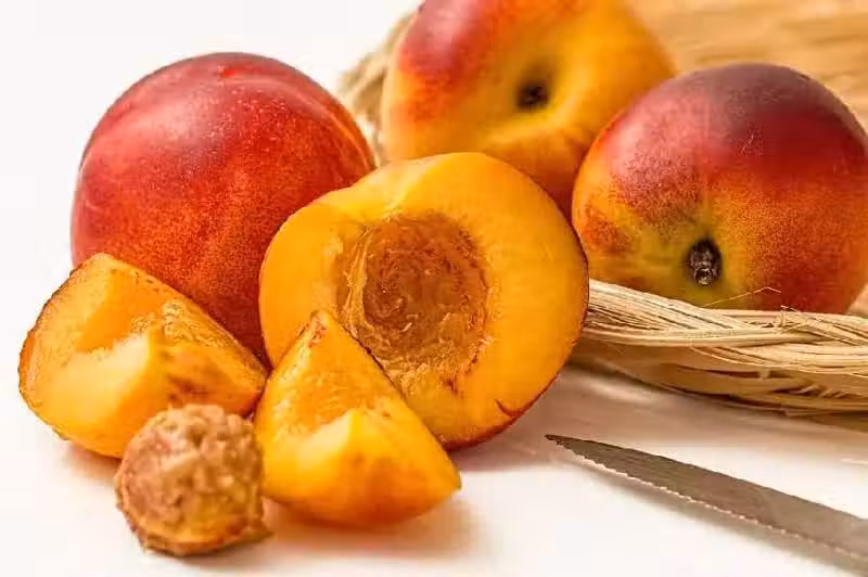 /www/bananadaily.net/web/images/image/2028/20289505.avif