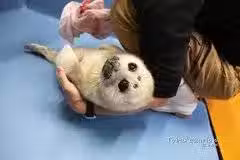 /www/bananadaily.net/web/images/image/2029/20295560.avif
