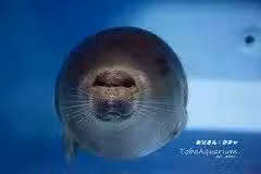 /www/bananadaily.net/web/images/image/2029/20295566.avif