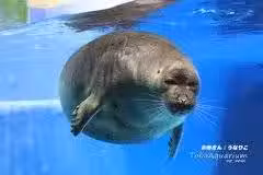 /www/bananadaily.net/web/images/image/2029/20295567.avif