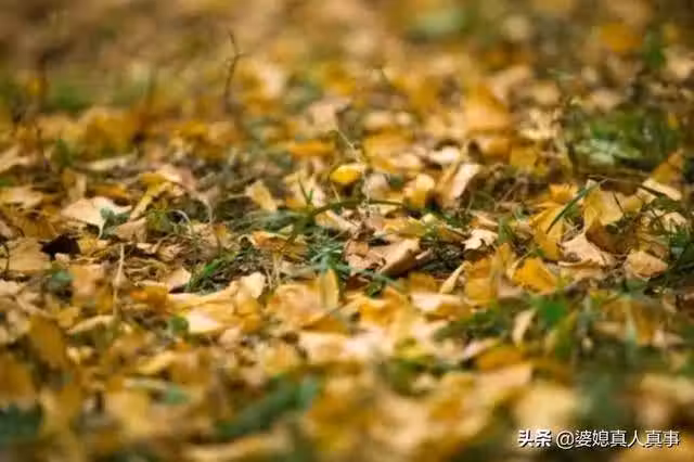 /www/bananadaily.net/web/images/image/2029/20295980.avif