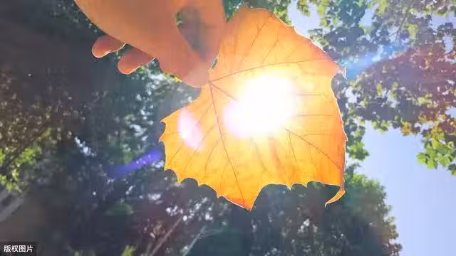 /www/bananadaily.net/web/images/image/2029/20297082.avif