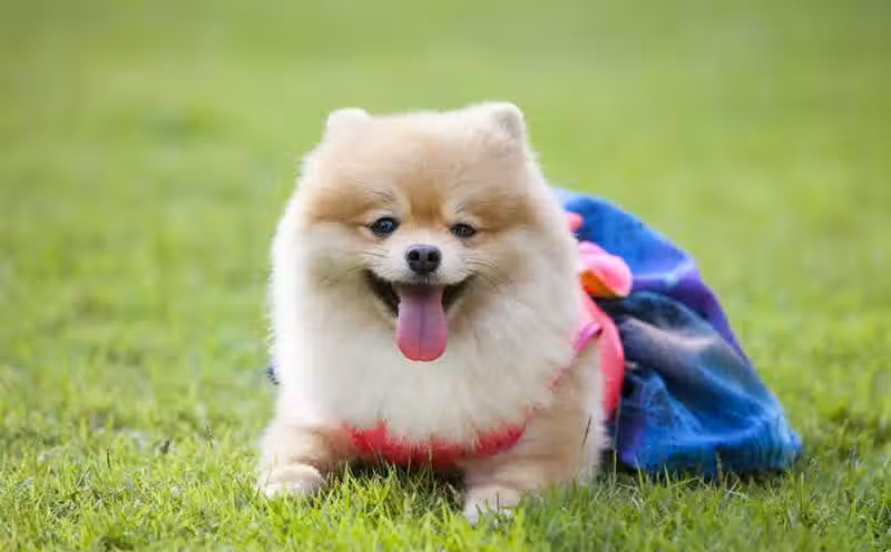 /www/bananadaily.net/web/images/image/2057/20576165.avif