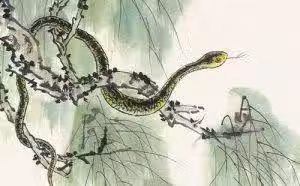 /www/bananadaily.net/web/images/image/2097/20974668.avif