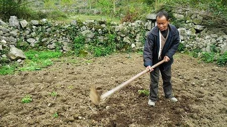 第一次見親家「父親打包剩菜」被女方全家人嘲笑,結賬時經理「一句話」 卻把親家母嚇壞了!