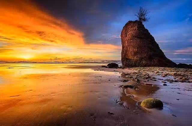/www/bananadaily.net/web/images/image/2213/22135295.avif