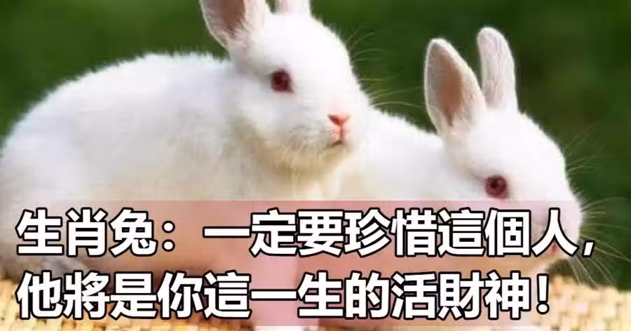 /www/bananadaily.net/web/images/image/2228/22280731.avif