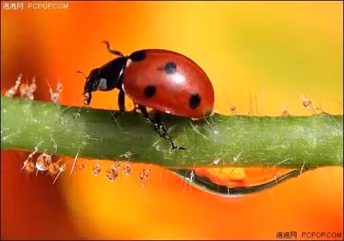/www/bananadaily.net/web/images/image/2232/22323093.avif