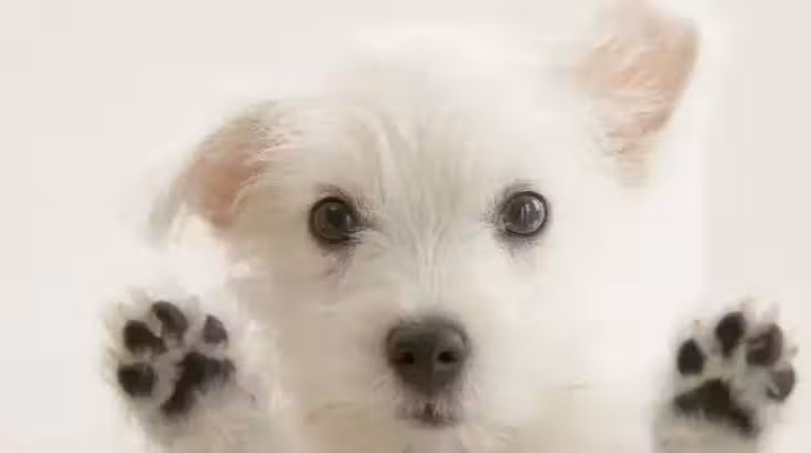 /www/bananadaily.net/web/images/image/2237/22376342.avif