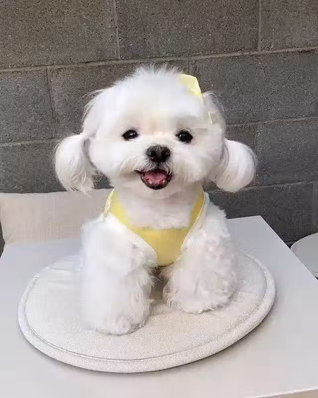 /www/bananadaily.net/web/images/image/2240/22404172.avif