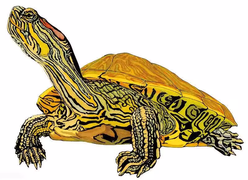 /www/bananadaily.net/web/images/image/2240/22407961.avif
