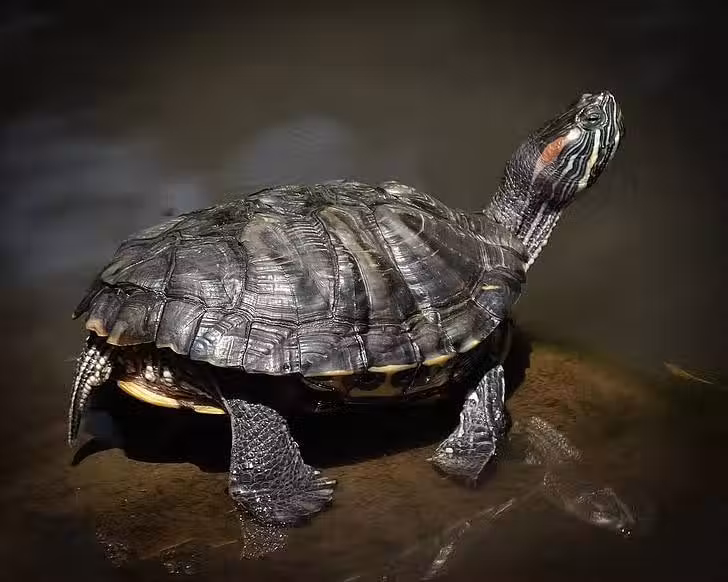 /www/bananadaily.net/web/images/image/2240/22407963.avif