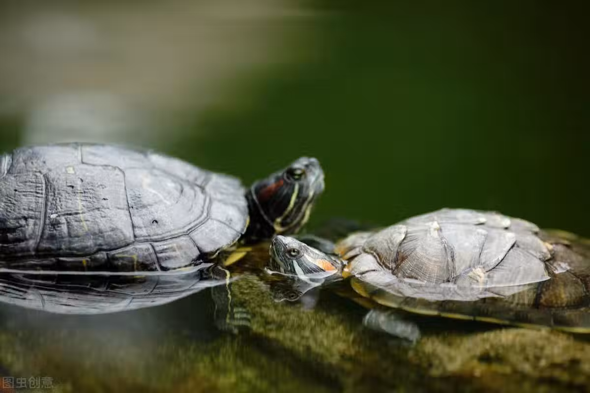 /www/bananadaily.net/web/images/image/2240/22407965.avif