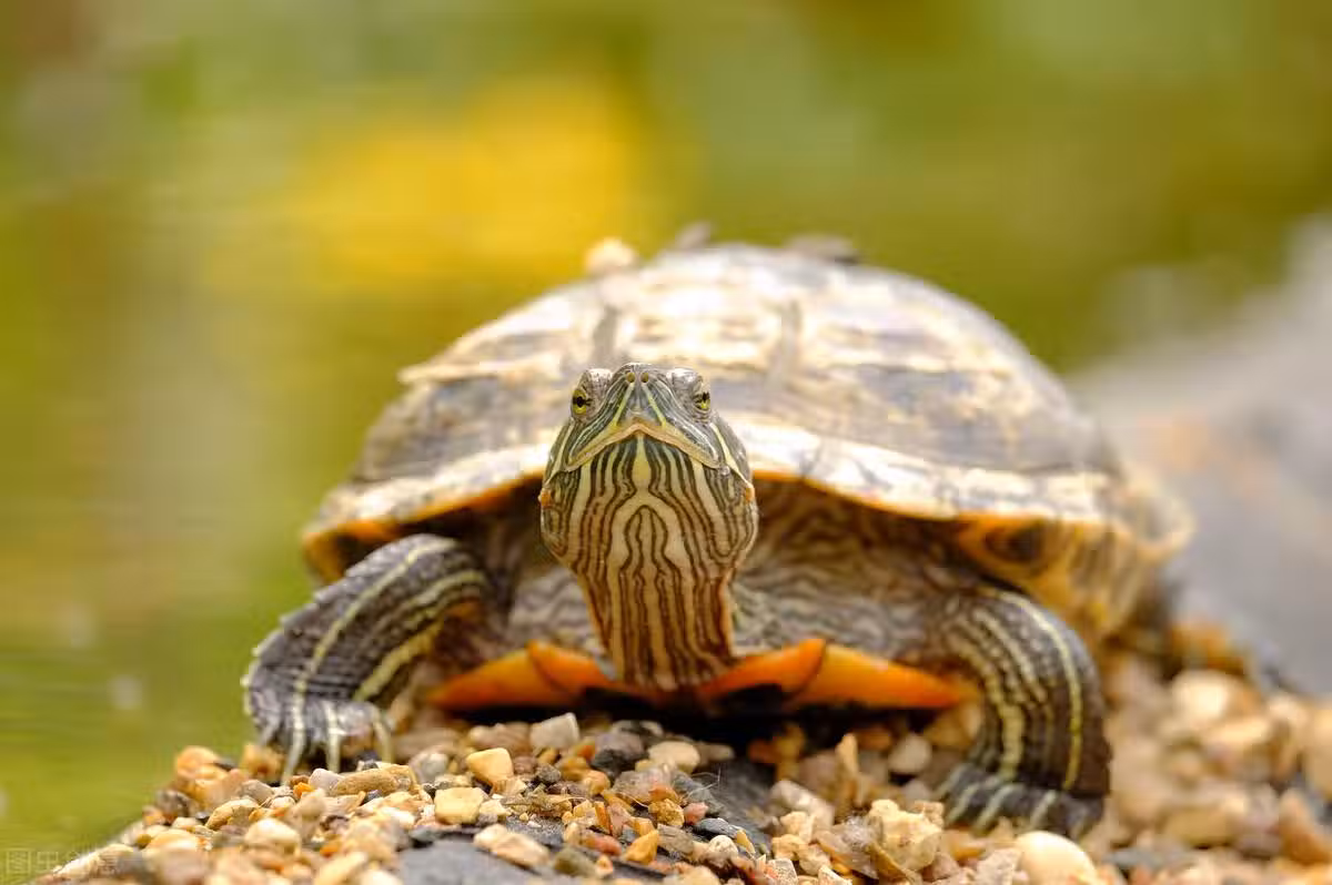 /www/bananadaily.net/web/images/image/2240/22407966.avif