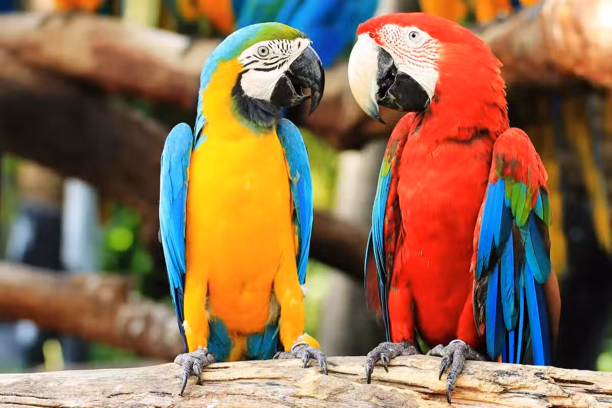 /www/bananadaily.net/web/images/image/2240/22407978.avif