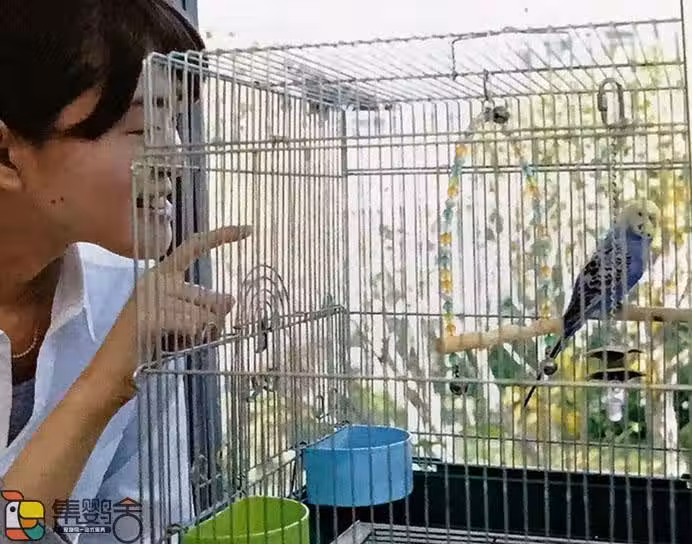 /www/bananadaily.net/web/images/image/2240/22407980.avif