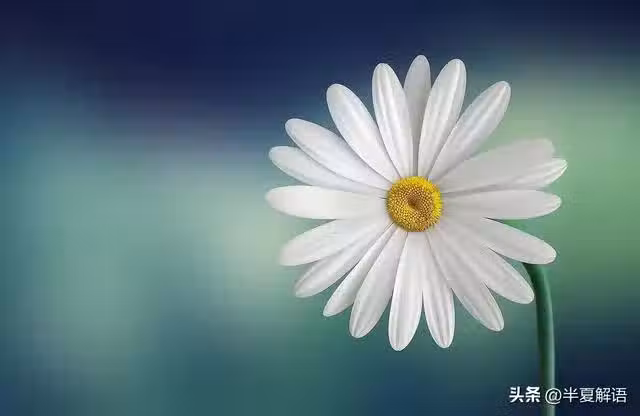 /www/bananadaily.net/web/images/image/2250/22502348.avif