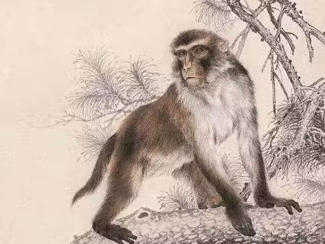 /www/bananadaily.net/web/images/image/2250/22502469.avif