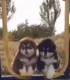 /www/bananadaily.net/web/images/image/2250/22507448.avif