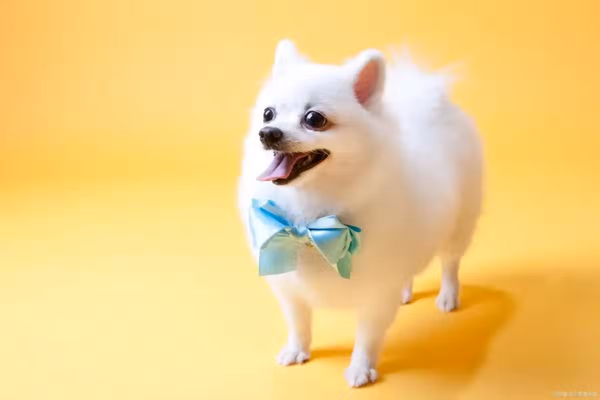 /www/bananadaily.net/web/images/image/2252/22521914.avif