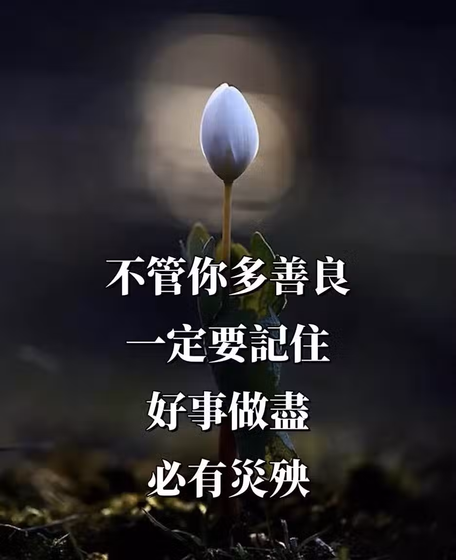 /www/bananadaily.net/web/images/image/2252/22523832.avif