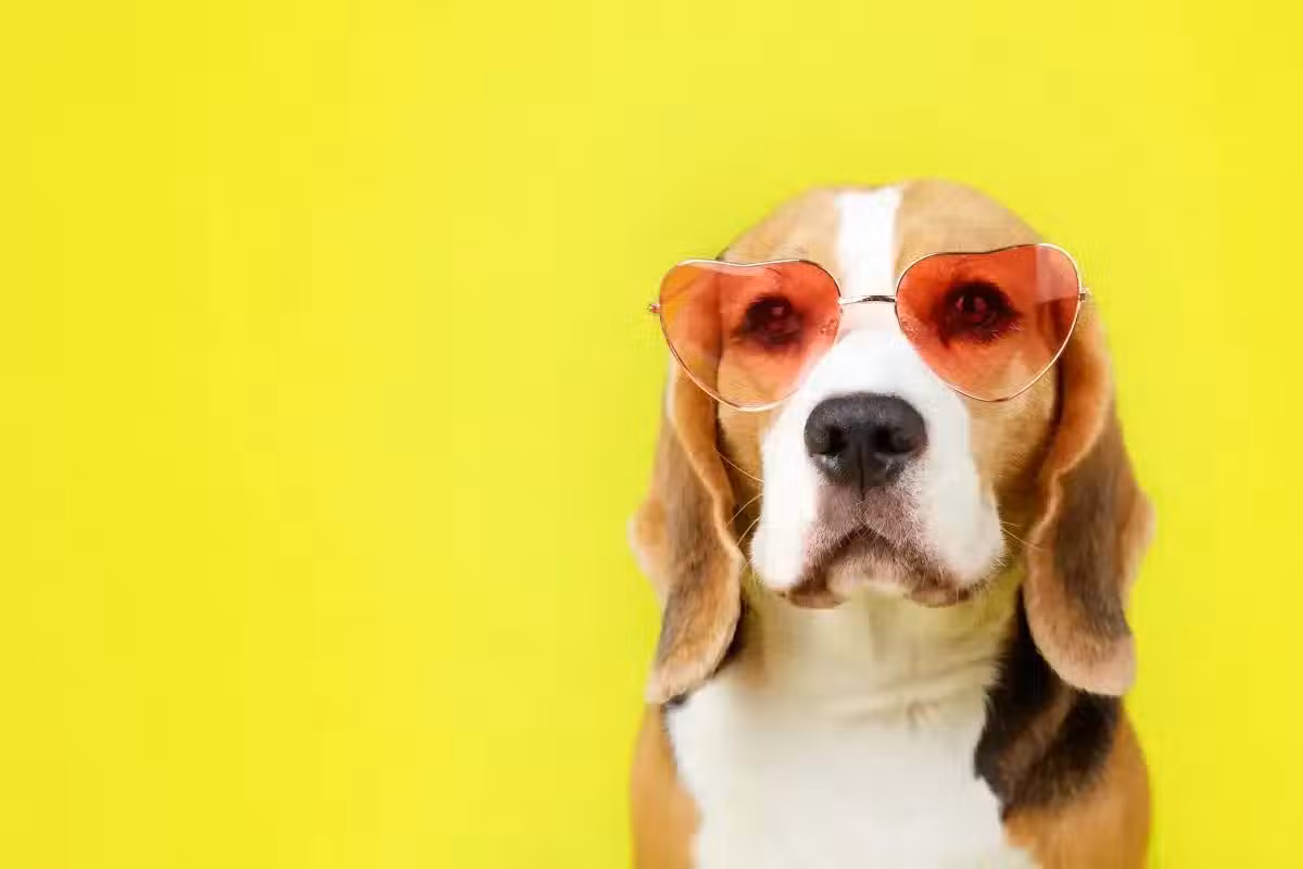 /www/bananadaily.net/web/images/image/2252/22524786.avif