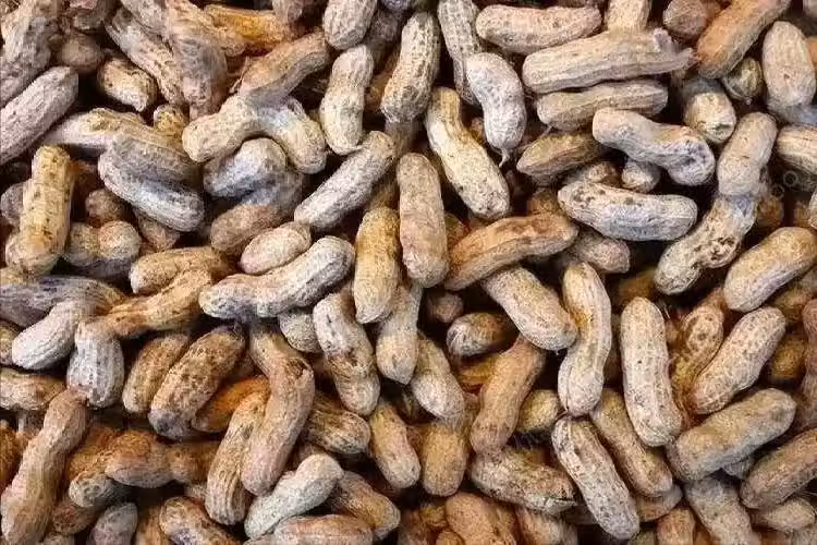 /www/bananadaily.net/web/images/image/2261/22611660.avif