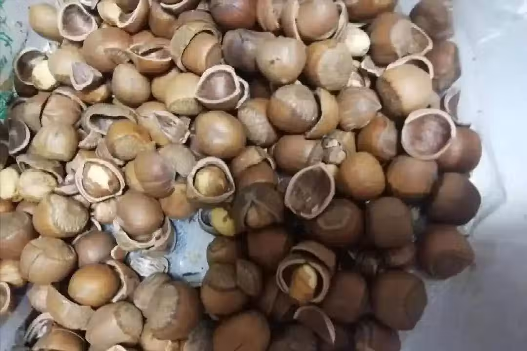 /www/bananadaily.net/web/images/image/2261/22611671.avif