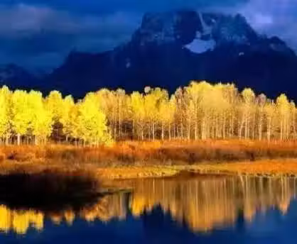 /www/bananadaily.net/web/images/image/2263/22635699.avif