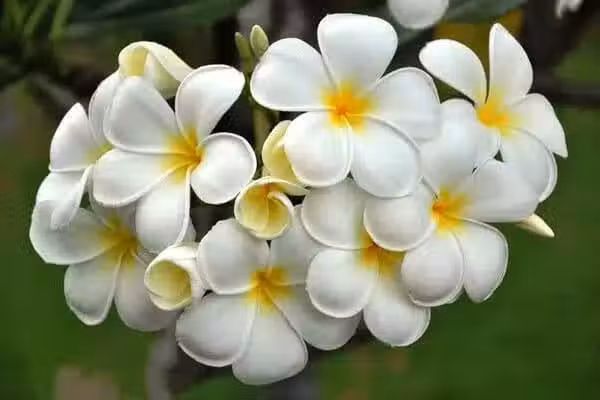 /www/bananadaily.net/web/images/image/2263/22639055.avif