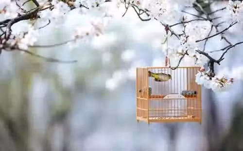 /www/bananadaily.net/web/images/image/2263/22639059.avif