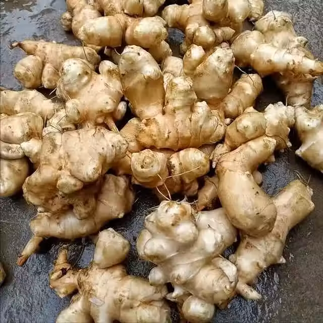 /www/bananadaily.net/web/images/image/2265/22657724.avif