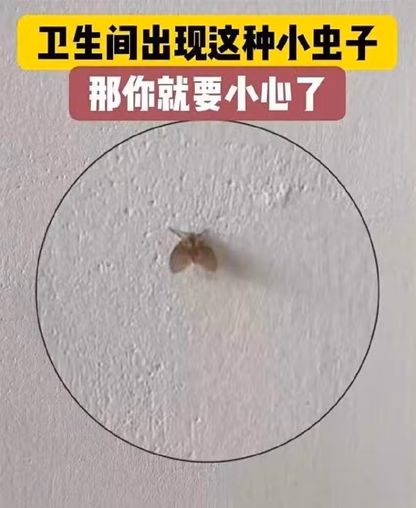 /www/bananadaily.net/web/images/image/2265/22658986.avif
