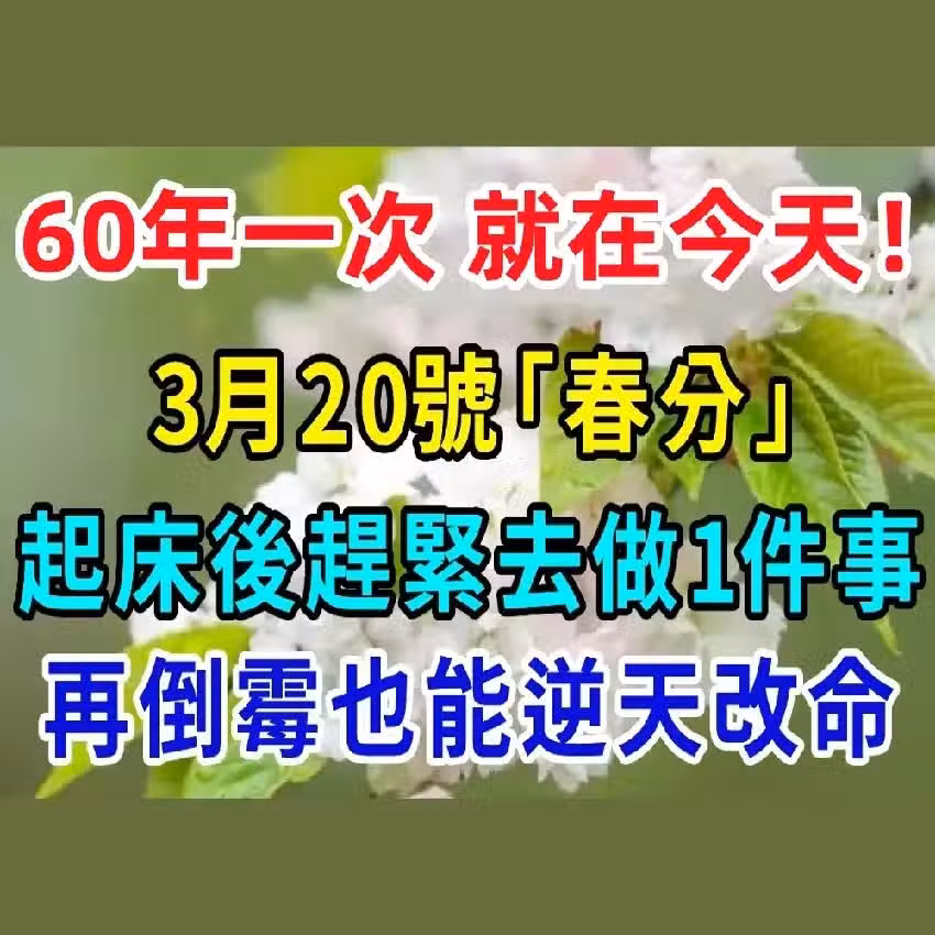 /www/bananadaily.net/web/images/image/2266/22661638.avif