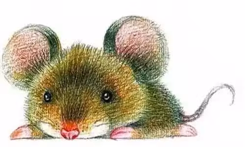 /www/bananadaily.net/web/images/image/2269/22692738.avif