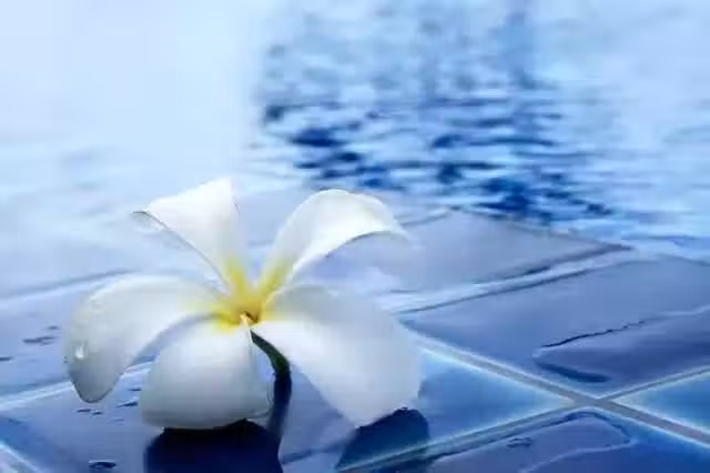 /www/bananadaily.net/web/images/image/2272/22728588.avif