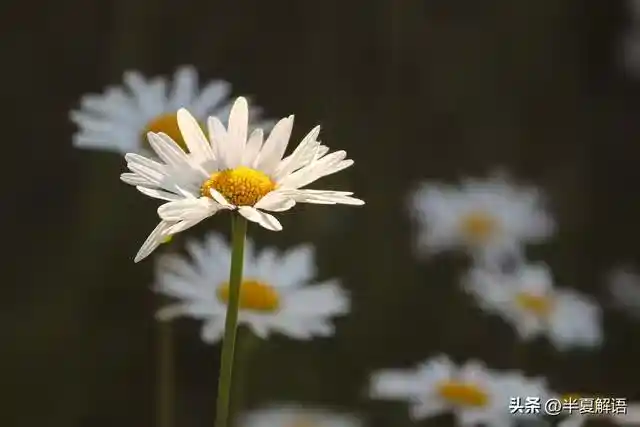 /www/bananadaily.net/web/images/image/2275/22750114.avif