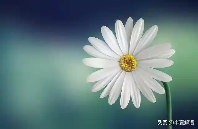 /www/bananadaily.net/web/images/image/2275/22750118.avif