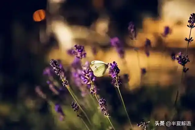 /www/bananadaily.net/web/images/image/2275/22750119.avif
