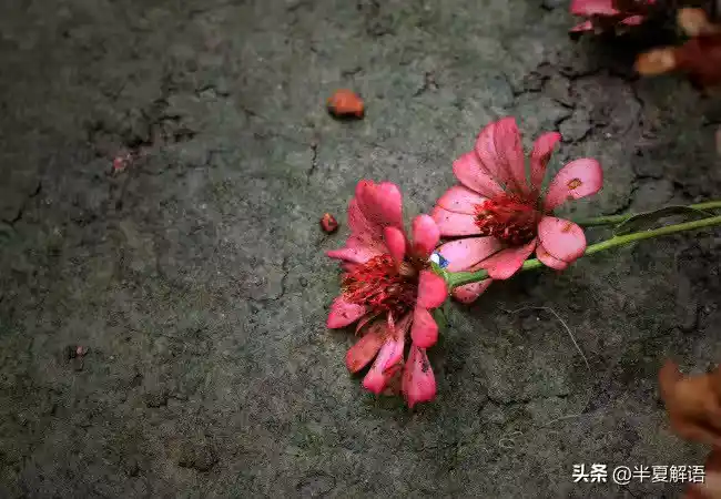 /www/bananadaily.net/web/images/image/2275/22750122.avif