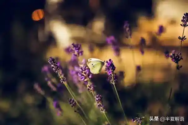/www/bananadaily.net/web/images/image/2275/22750125.avif