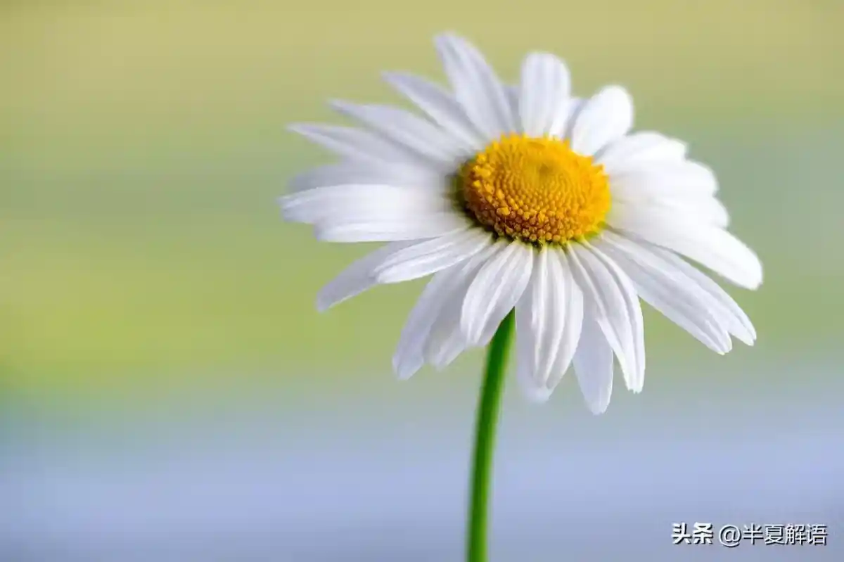 /www/bananadaily.net/web/images/image/2275/22750126.avif