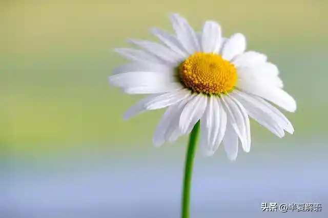 /www/bananadaily.net/web/images/image/2275/22750128.avif