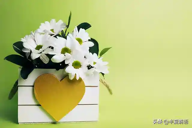 /www/bananadaily.net/web/images/image/2275/22750129.avif